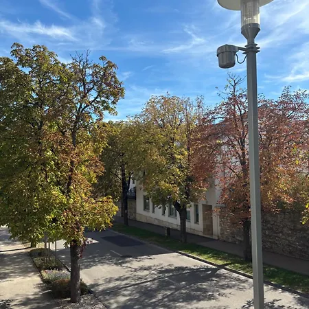 Balaton Vibe Fuered Apartmán